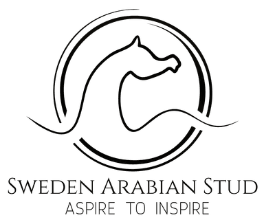 Sweden Arabian Stud